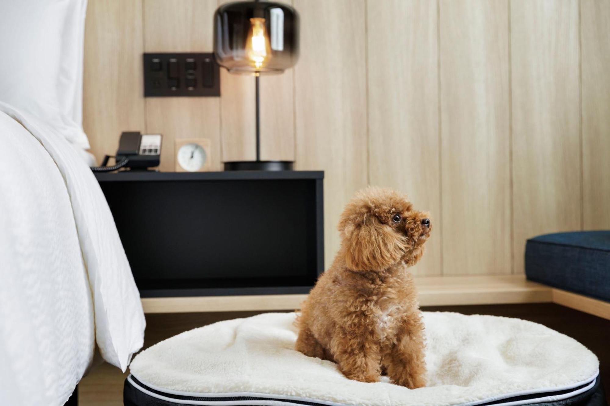 Fairfield By Marriott Kyoto Kyotamba Ξενοδοχείο Nantan city Εξωτερικό φωτογραφία
